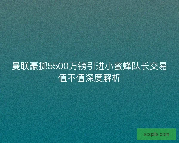 曼联豪掷5500万镑引进小蜜蜂队长交易值不值深度解析
